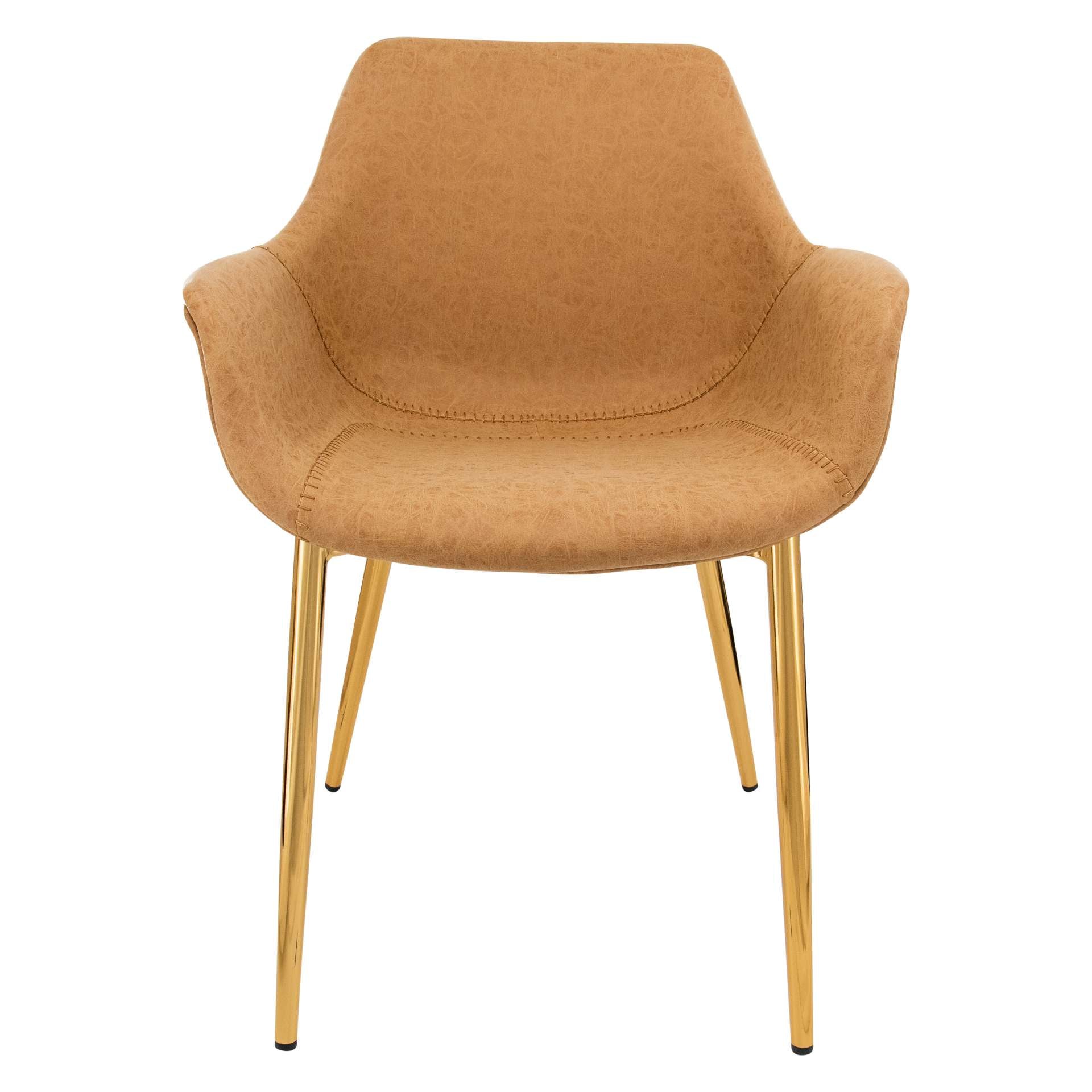 LeisureMod Markley Modern Leather Dining Arm Chair With Gold Metal Legs - ECG26G | Dining Chairs | Modishstore - 12