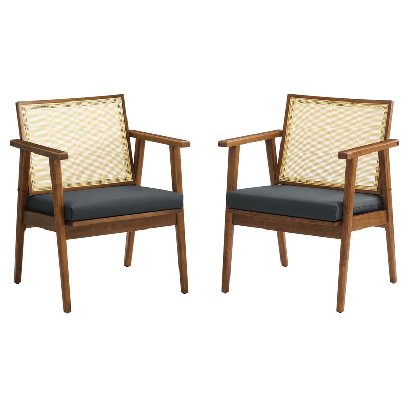 Thera Vegan Leather and Cane Accent Armchairs Set of 2 by Modway | Sofa Set | Modishstore - 2