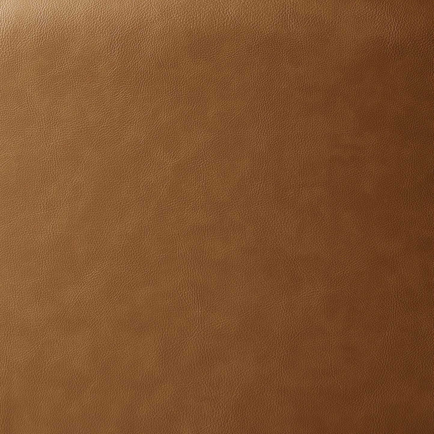 Revive Upholstered Vegan Leather Loveseat by Modway | Loveseats | Modishstore - 14