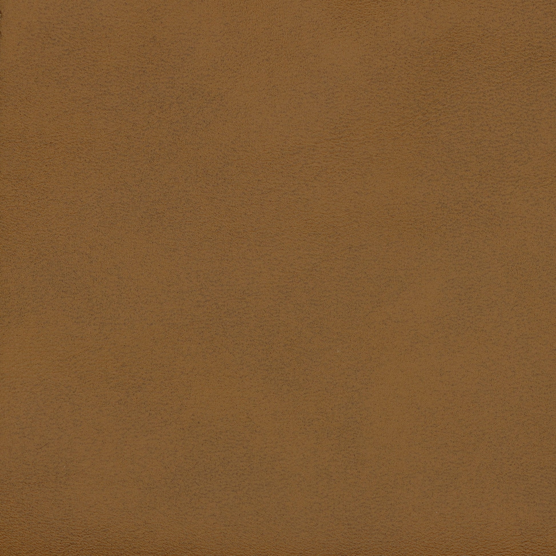 Auren 5-Piece Upholstered Armless L-Shaped Vegan Leather Modular Sofa by Modway | Sofa Set | Modishstore - 3