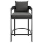 Tahoe Outdoor Patio Patio Aluminum Counter Stool by Modway
