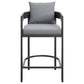 Tahoe Outdoor Patio Patio Aluminum Counter Stool by Modway
