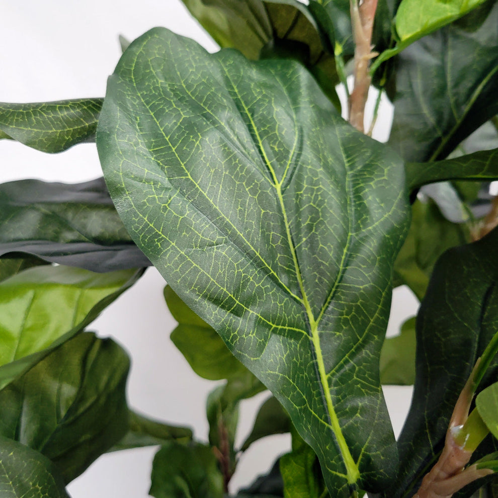 Fiddle Leaf Tree in Harmony Planter MD By Gold Leaf | Planters, Troughs & Cachepots | Modishstore - 5