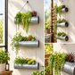 Cera Metal 3 Tiered Hanging Planter/Wall Planter