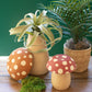 Clay Mushroom Canisters Set Of 2 By Kalalou | Jars & Canisters | Modishstore