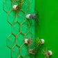 Green Wall Satellite, Wall Play™ Beehive Off-White w/ Air Plants, Set of 10 By Gold Leaf | Wall Art | Modishstore - 3