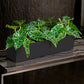 Alocasia in Painted Iron Table Planter By Gold Leaf | Planters, Troughs & Cachepots | Modishstore - 3