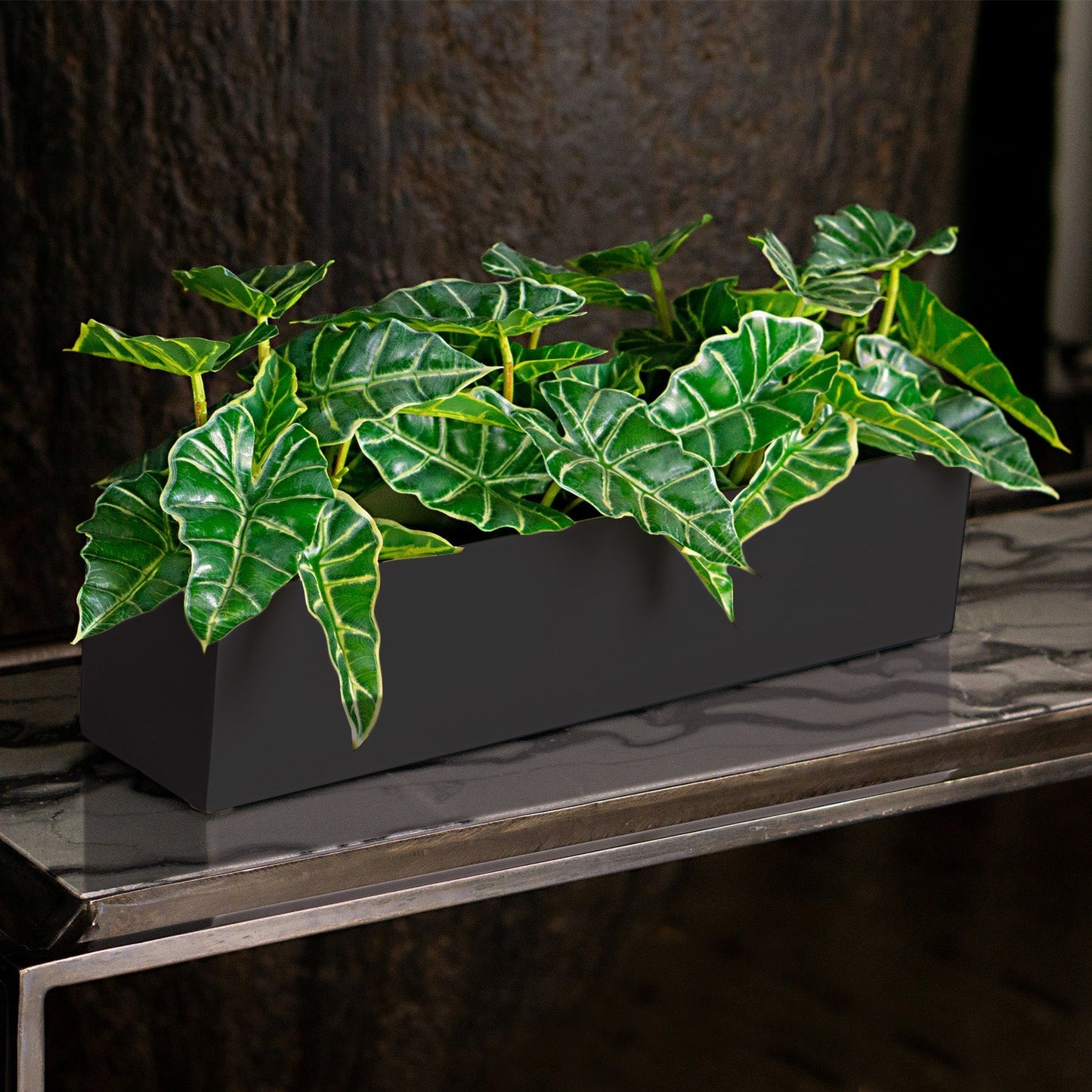 Alocasia in Painted Iron Table Planter By Gold Leaf | Planters, Troughs & Cachepots | Modishstore - 3