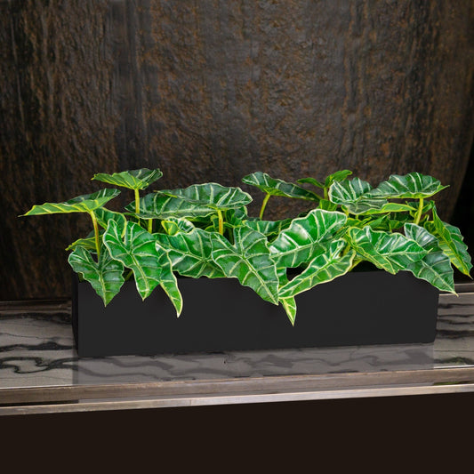 Alocasia in Painted Iron Table Planter By Gold Leaf | Planters, Troughs & Cachepots | Modishstore - 1