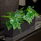 Alocasia in Painted Iron Table Planter By Gold Leaf | Planters, Troughs & Cachepots | Modishstore - 2