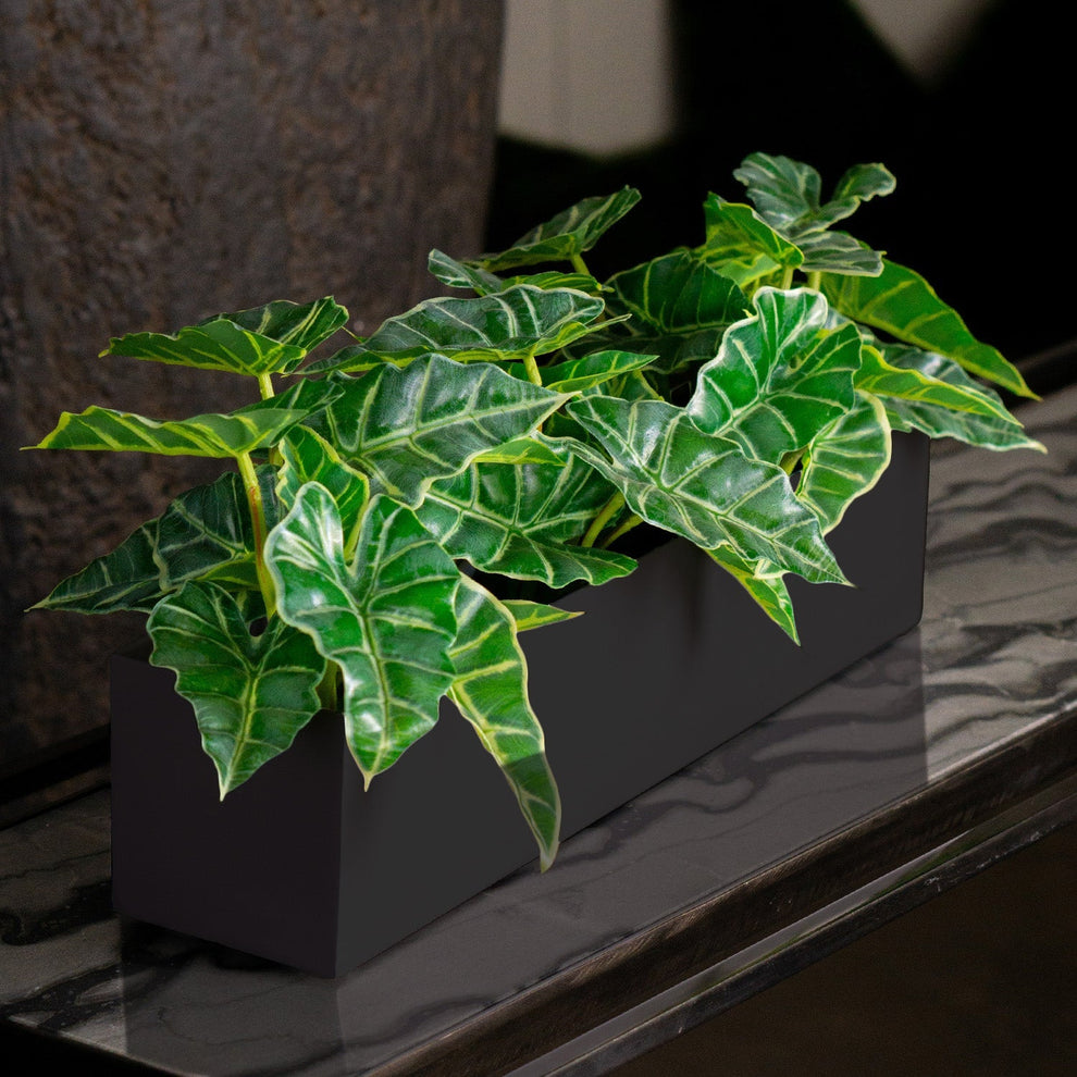 Alocasia in Painted Iron Table Planter By Gold Leaf | Planters, Troughs & Cachepots | Modishstore - 2