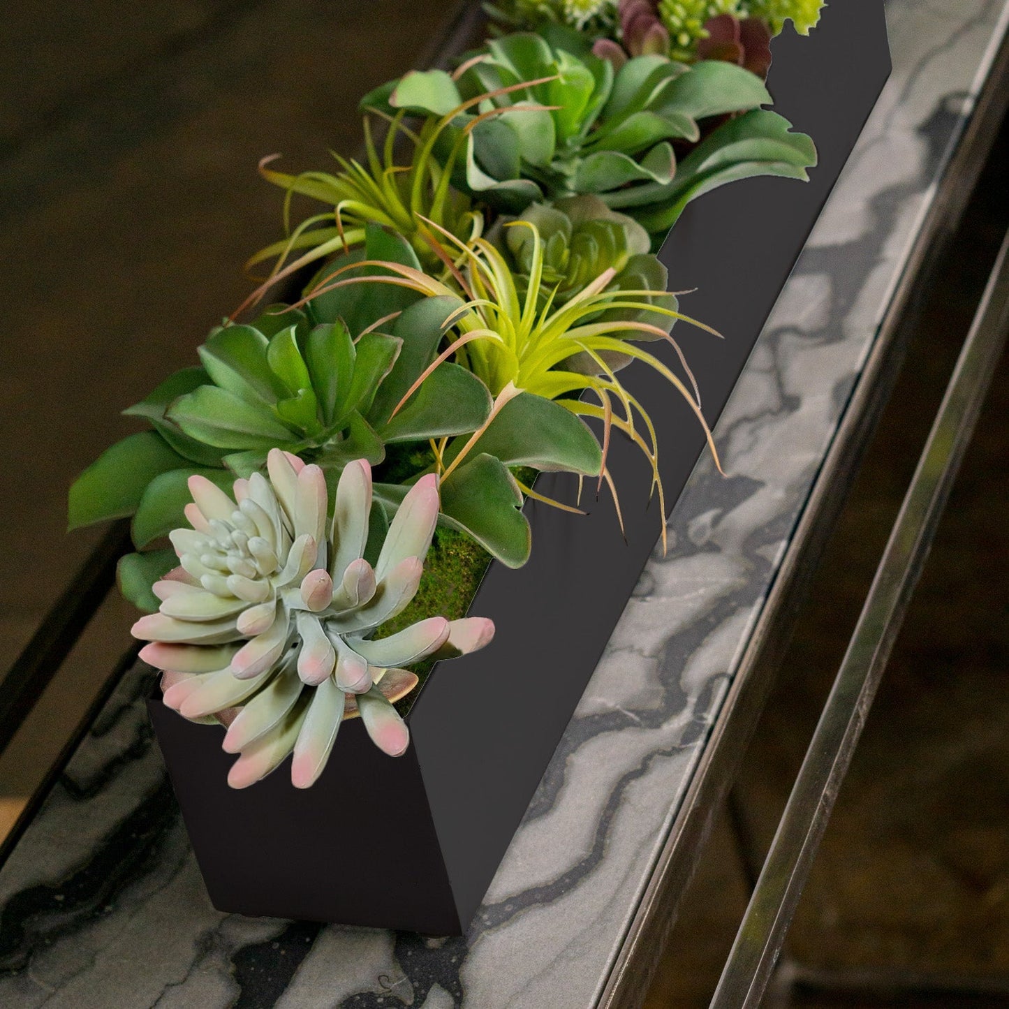 Arid Mix 1 in Painted Black Iron Table Planter By Gold Leaf | Planters, Troughs & Cachepots | Modishstore - 2