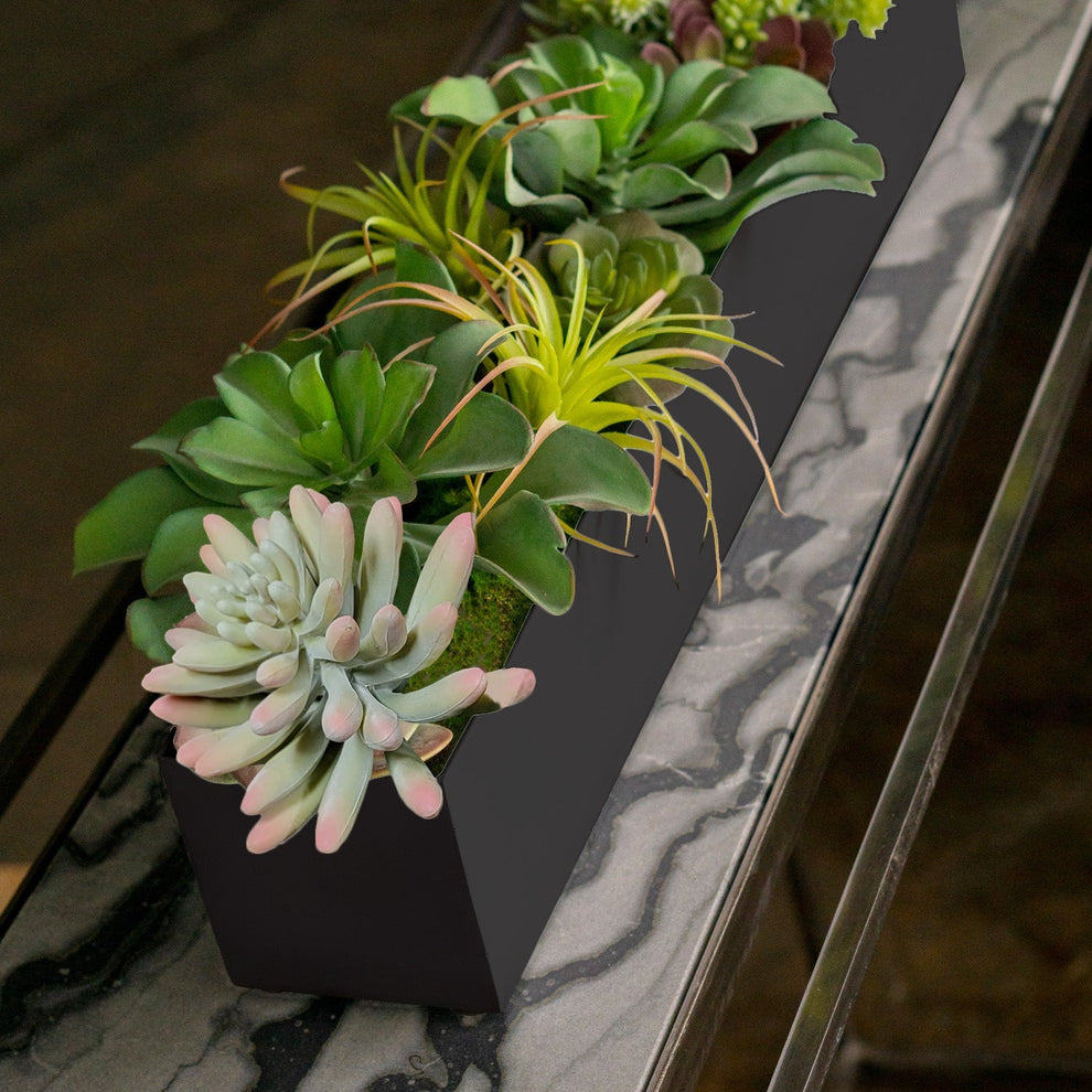 Arid Mix 1 in Painted Black Iron Table Planter By Gold Leaf | Planters, Troughs & Cachepots | Modishstore - 2