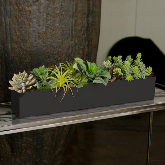 Arid Mix 1 in Painted Black Iron Table Planter By Gold Leaf | Planters, Troughs & Cachepots | Modishstore - 1