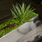 Yucca Mini 2 in Stainless Table Planter By Gold Leaf | Planters, Troughs & Cachepots | Modishstore - 3