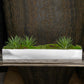 Yucca Mini 2 in Stainless Table Planter By Gold Leaf | Planters, Troughs & Cachepots | Modishstore - 2
