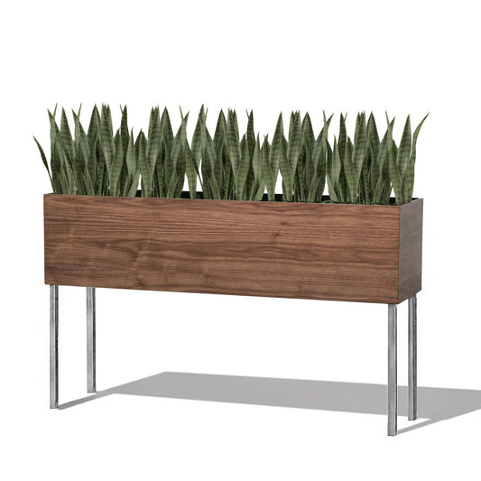 Sansevieria Green in Rectangle Planter w/ Legs - Front View