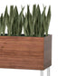 Sansevieria Green in Rectangle Planter w/ Legs - Side View
