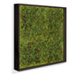 Green Wall, Textured Moss, Black Shadow Box By Gold Leaf | Wall Art | Modishstore - 2