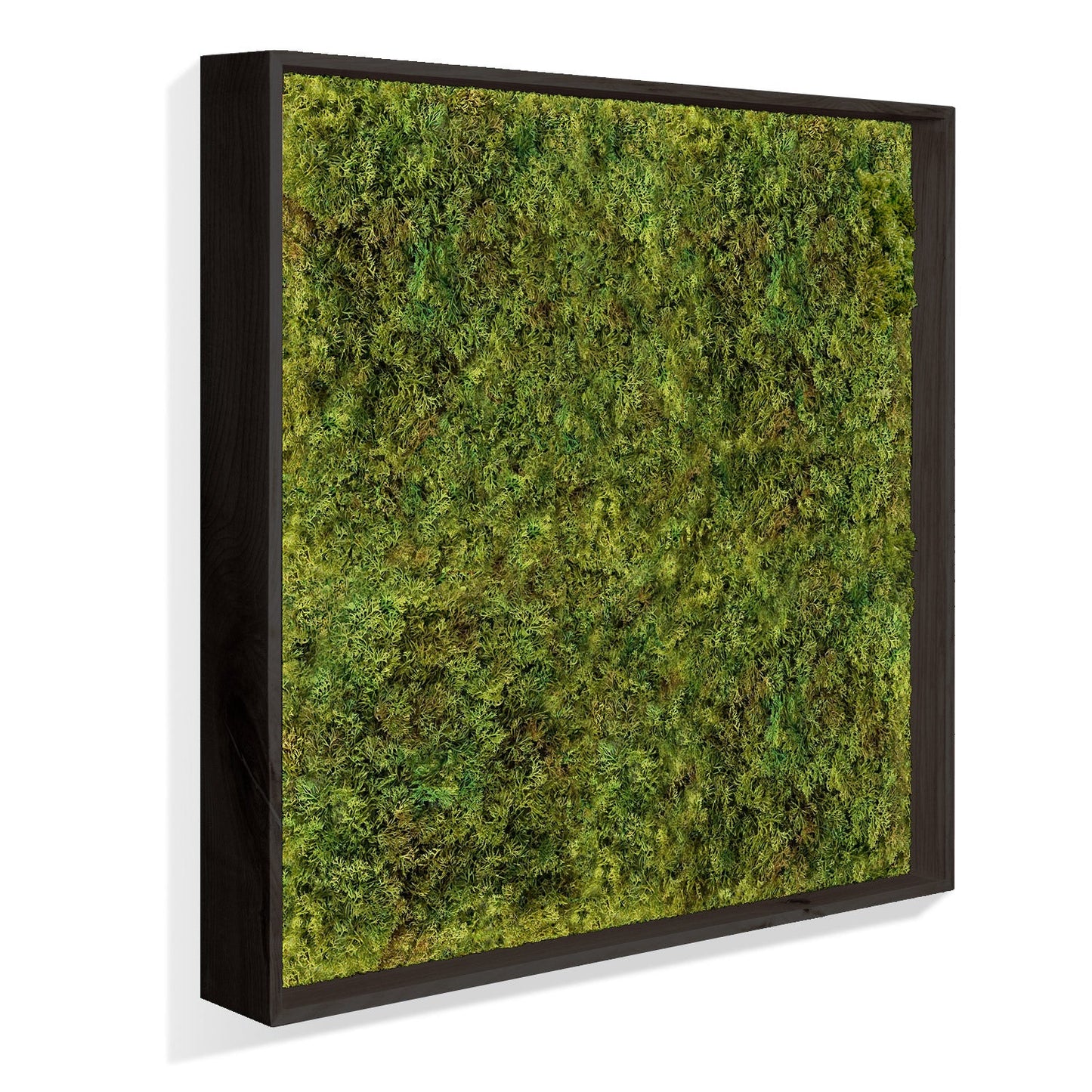 Green Wall, Textured Moss, Black Shadow Box By Gold Leaf | Wall Art | Modishstore - 2