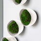 Green Wall Satellite, Wall Play™ Seed Off-White w/ Moss By Gold Leaf | Wall Art | Modishstore - 1