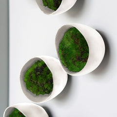 Green Wall Satellite, Wall Play™ Seed Off-White w/ Moss By Gold Leaf