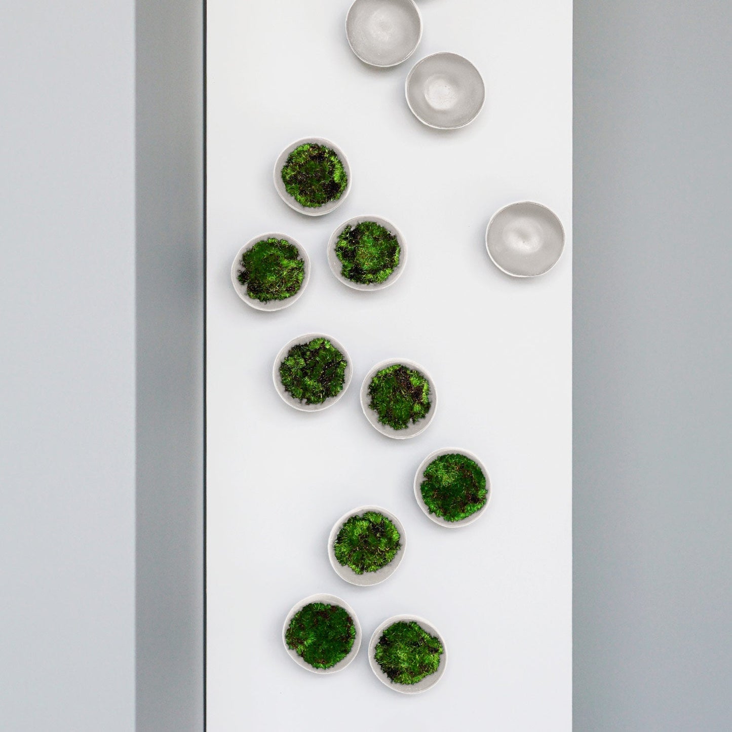 Green Wall Satellite, Wall Play™ Seed Off-White w/ Moss By Gold Leaf | Wall Art | Modishstore - 3