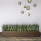 Grass: Cortada Grass in Custom Rectangle Bronze Black Planter By Gold Leaf | Planters, Troughs & Cachepots | Modishstore - 1