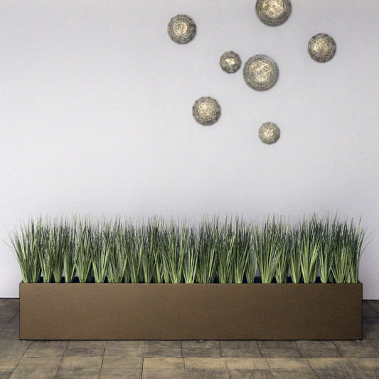 Grass: Cortada Grass in Custom Rectangle Bronze Black Planter By Gold Leaf | Planters, Troughs & Cachepots | Modishstore - 1