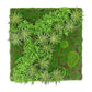 Green Wall, Boxwood & Mini Yucca 24.5"SQ By Gold Leaf | Wall Art | Modishstore - 1