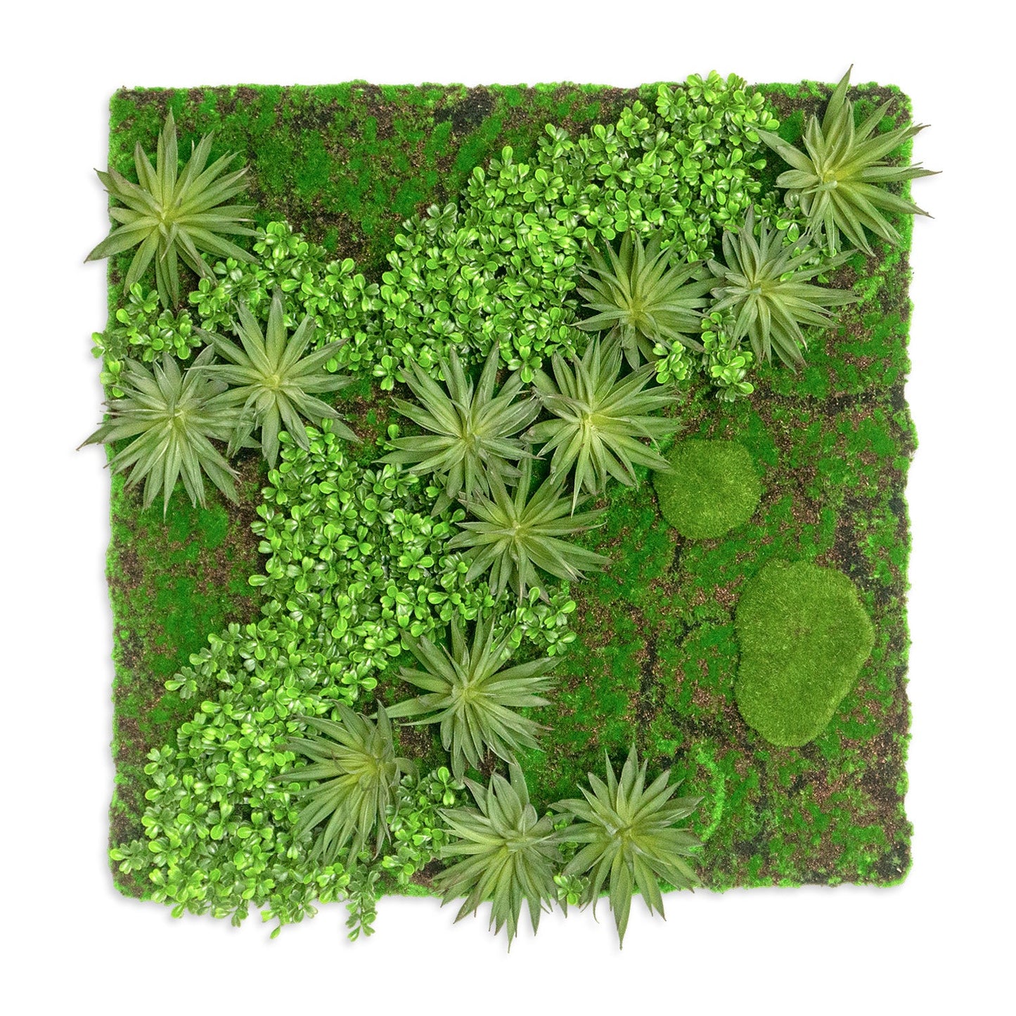 Green Wall, Boxwood & Mini Yucca 24.5"SQ By Gold Leaf | Wall Art | Modishstore - 1