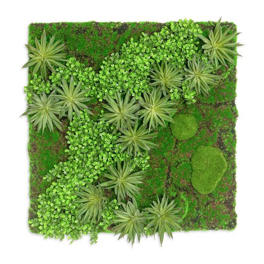Green Wall, Boxwood & Mini Yucca 24.5"SQ By Gold Leaf | Wall Art | Modishstore - 1