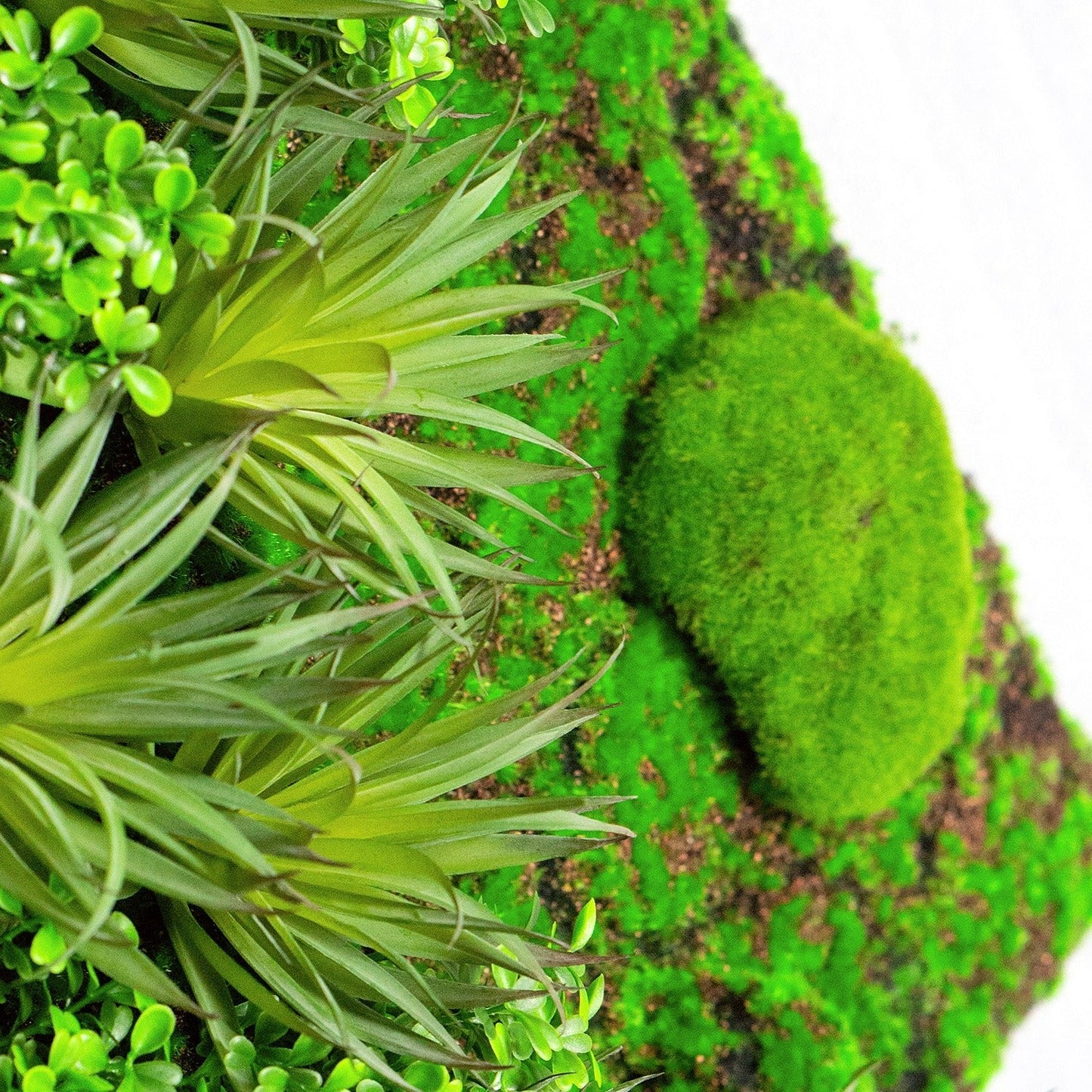 Green Wall, Boxwood & Mini Yucca 24.5"SQ By Gold Leaf | Wall Art | Modishstore - 2