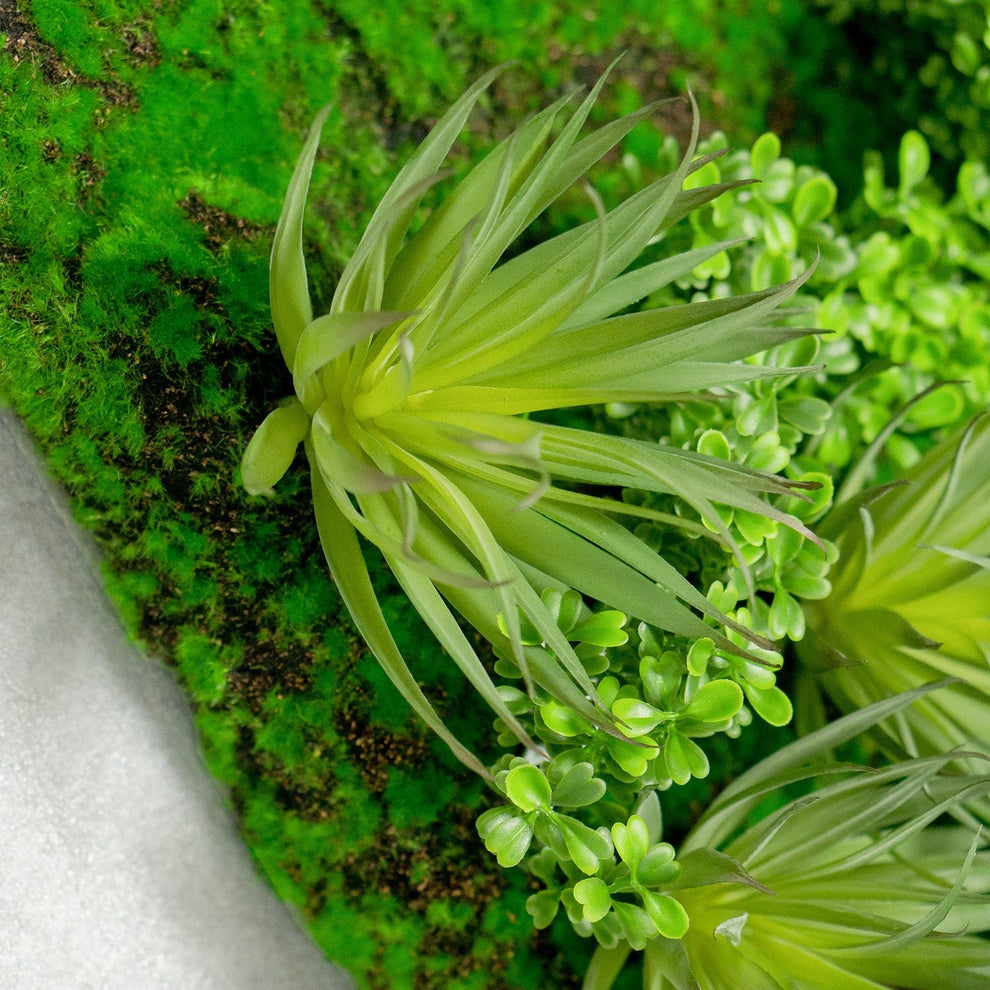 Green Wall, Boxwood & Mini Yucca 24.5"SQ By Gold Leaf | Wall Art | Modishstore - 4