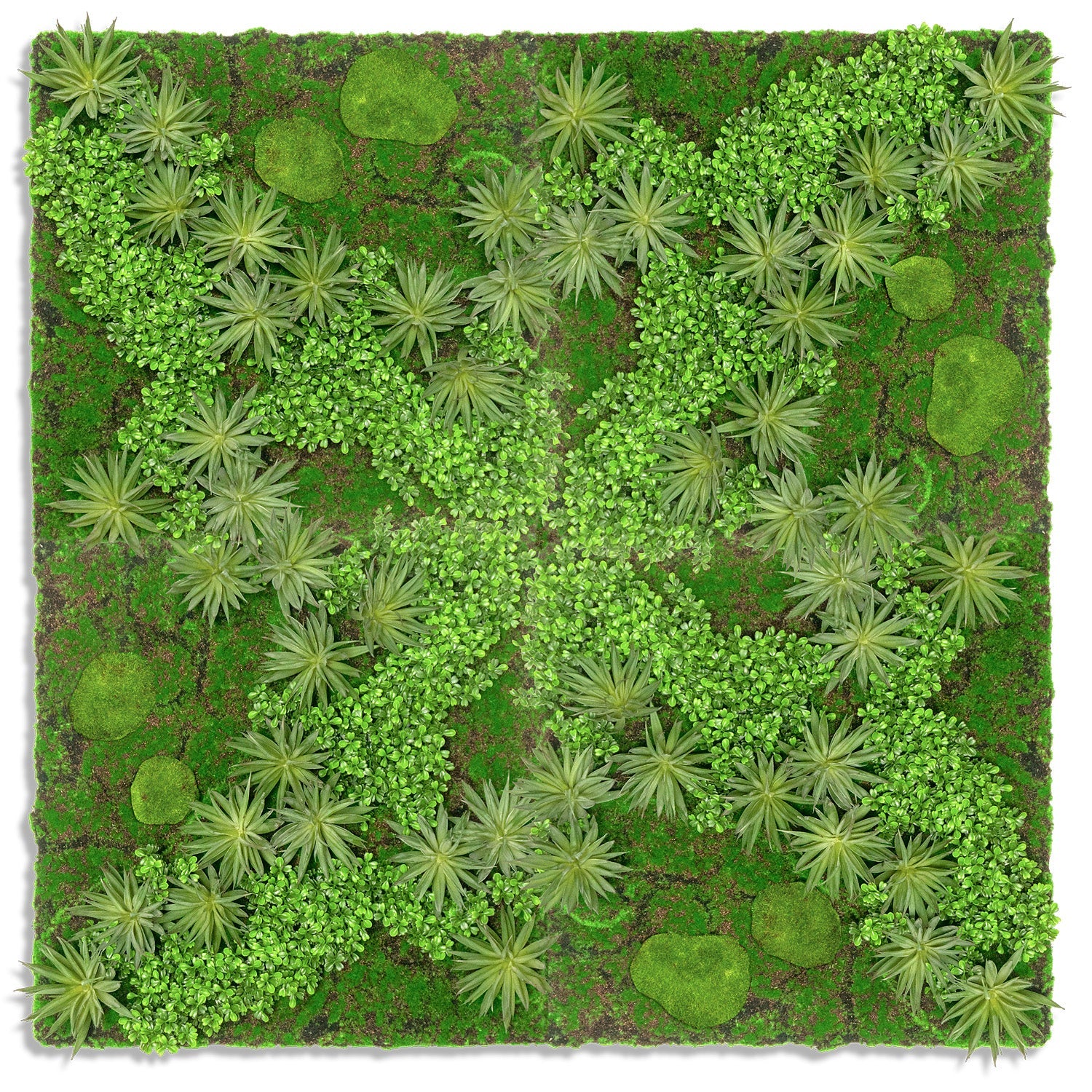 Green Wall, Boxwood & Mini Yucca 49"SQ By Gold Leaf | Wall Art | Modishstore - 1