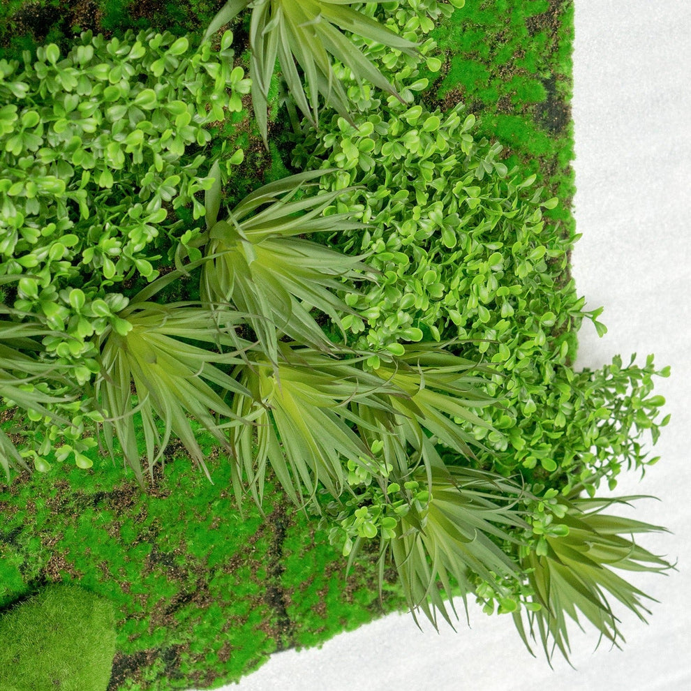 Green Wall, Boxwood & Mini Yucca 49"SQ By Gold Leaf | Wall Art | Modishstore - 2