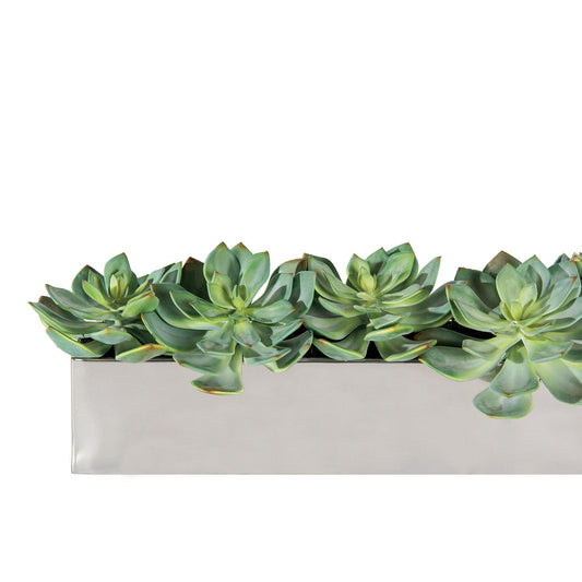 Grapto in Stainless Table Planter By Gold Leaf | Planters, Troughs & Cachepots | Modishstore - 1