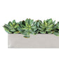 Grapto in Stainless Table Planter By Gold Leaf | Planters, Troughs & Cachepots | Modishstore - 4