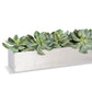 Grapto in Stainless Table Planter By Gold Leaf | Planters, Troughs & Cachepots | Modishstore - 2