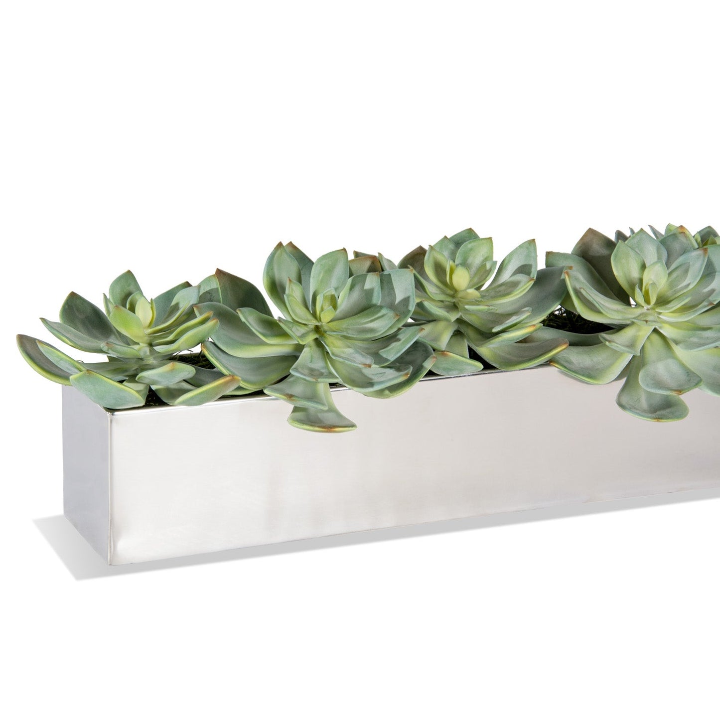 Grapto in Stainless Table Planter By Gold Leaf | Planters, Troughs & Cachepots | Modishstore - 2