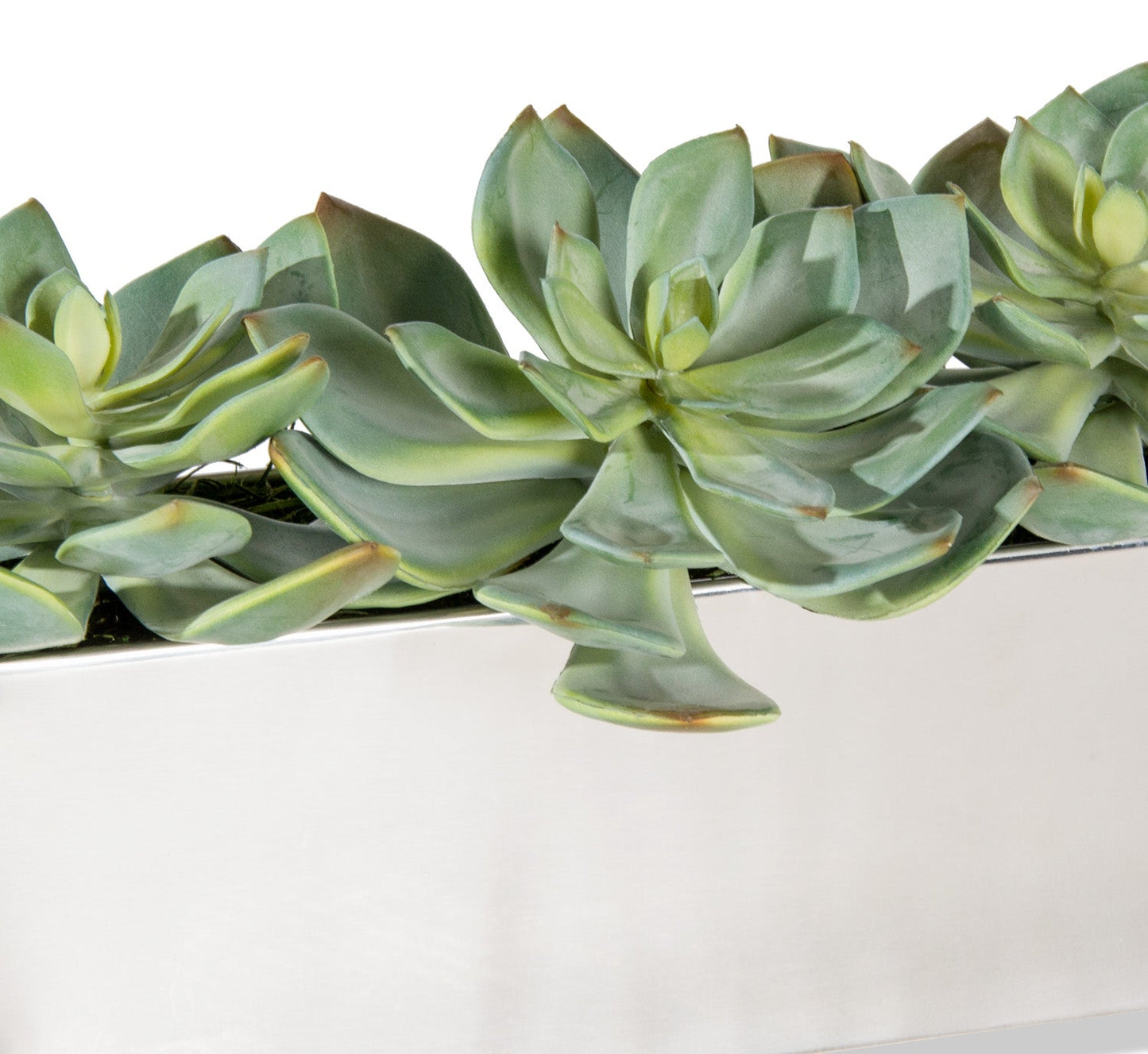 Grapto in Stainless Table Planter By Gold Leaf | Planters, Troughs & Cachepots | Modishstore - 3