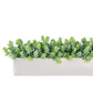 Sedum Green in Stainless Table Planter By Gold Leaf | Planters, Troughs & Cachepots | Modishstore - 1