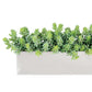 Sedum Green in Stainless Table Planter By Gold Leaf | Planters, Troughs & Cachepots | Modishstore - 4