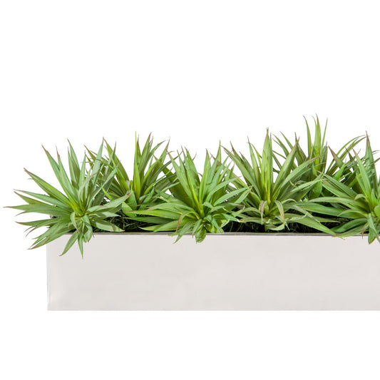 Yucca Mini 1 in Stainless Table Planter By Gold Leaf | Planters, Troughs & Cachepots | Modishstore - 1