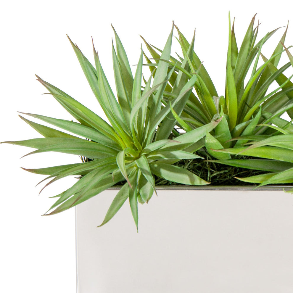 Yucca Mini 1 in Stainless Table Planter By Gold Leaf | Planters, Troughs & Cachepots | Modishstore - 3