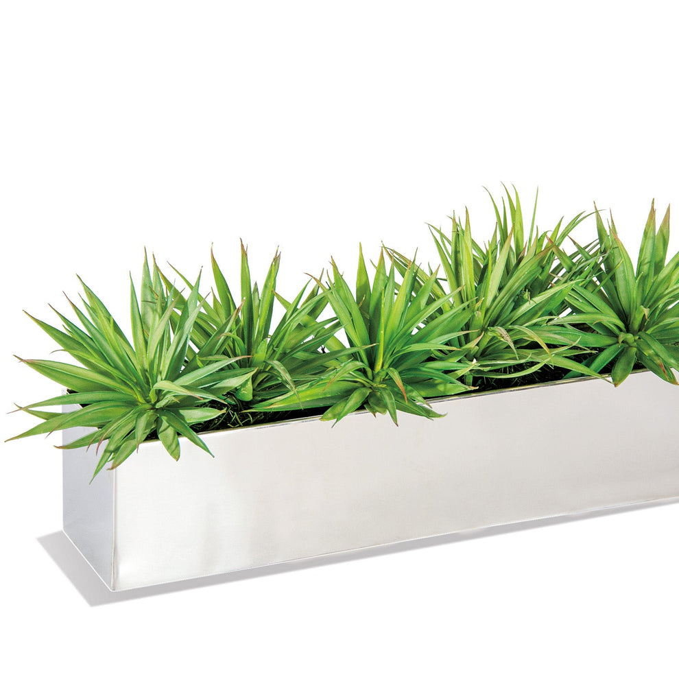 Yucca Mini 1 in Stainless Table Planter By Gold Leaf | Planters, Troughs & Cachepots | Modishstore - 4
