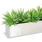 Yucca Mini 1 in Stainless Table Planter By Gold Leaf | Planters, Troughs & Cachepots | Modishstore - 2