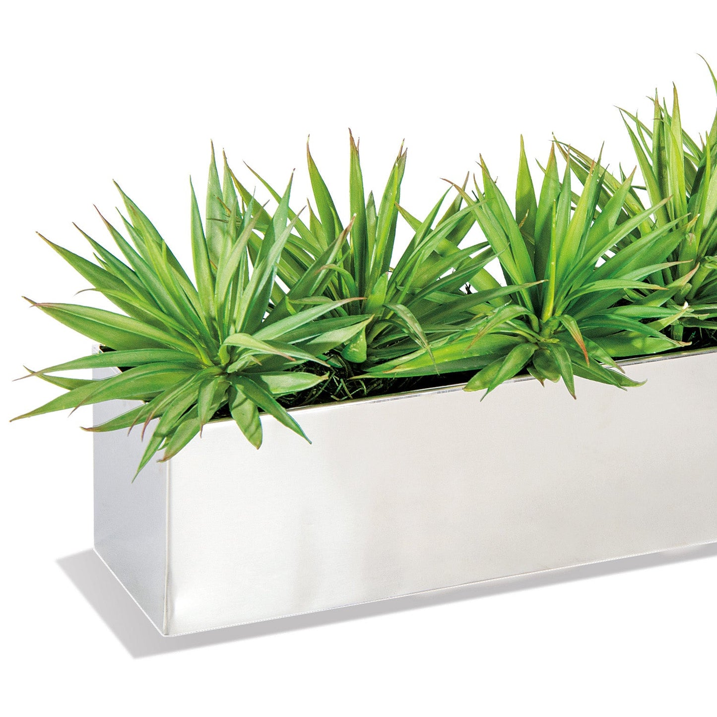 Yucca Mini 1 in Stainless Table Planter By Gold Leaf | Planters, Troughs & Cachepots | Modishstore - 2