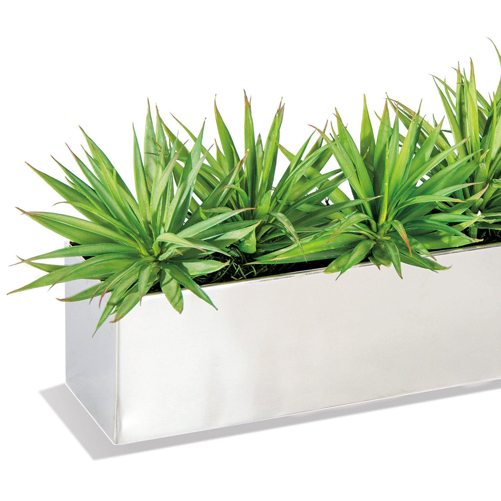 Yucca Mini 1 in Stainless Table Planter By Gold Leaf | Planters, Troughs & Cachepots | Modishstore - 2