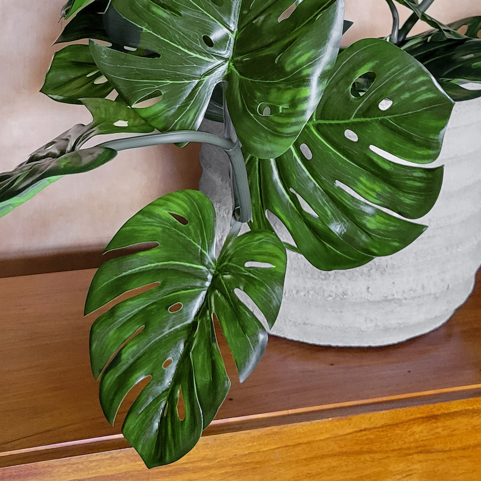 Monstera Vine in Rotunda Planter SM, Grey Matte By Gold Leaf | Planters, Troughs & Cachepots | Modishstore - 4